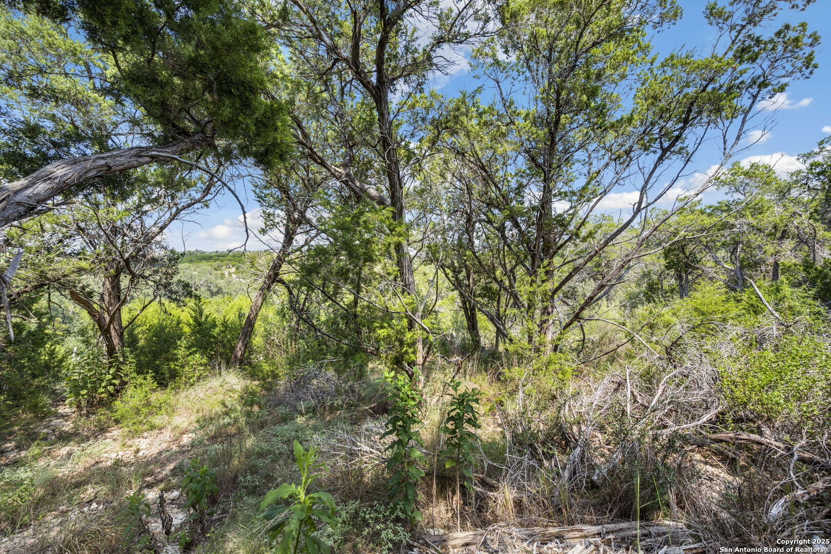 1484 Stahlman New Braunfels TX 78132