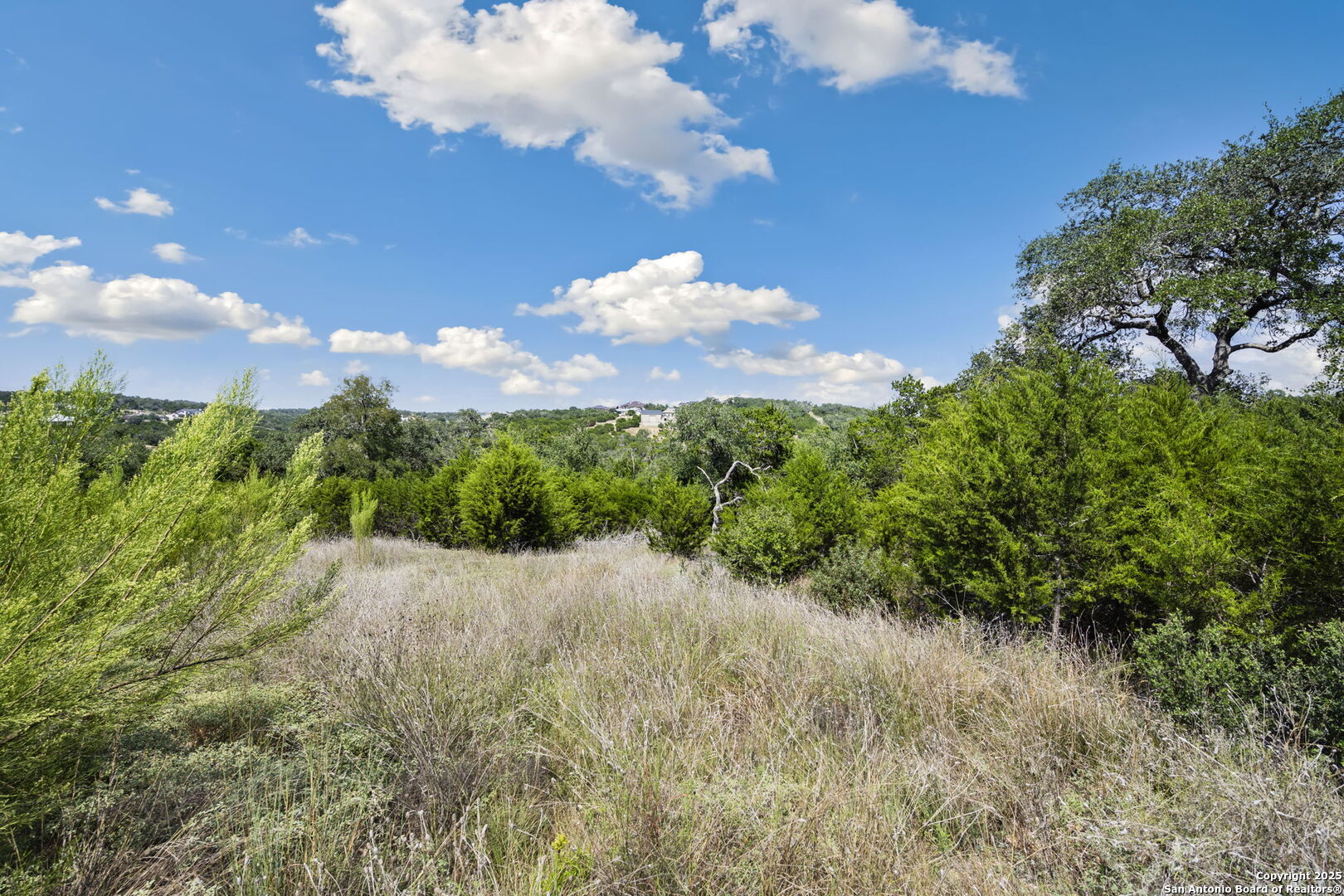 1484 Stahlman New Braunfels TX 78132