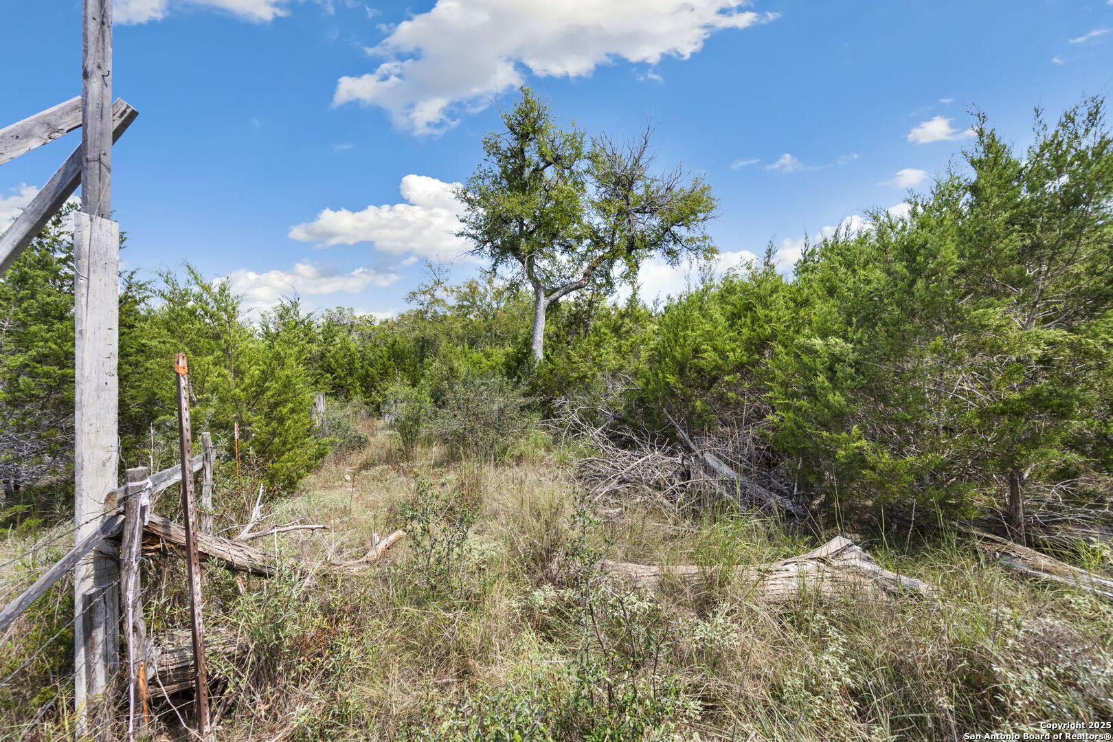 1484 Stahlman New Braunfels TX 78132