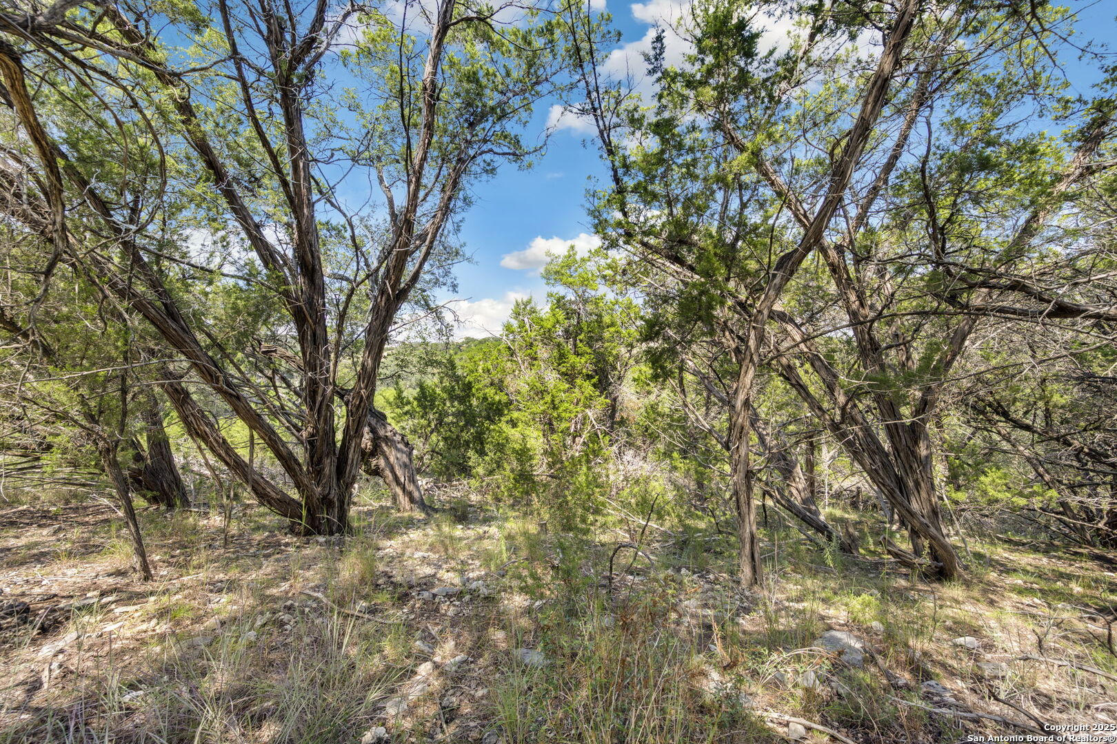 1484 Stahlman New Braunfels TX 78132