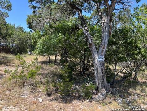 619 Cactus Flower Canyon Lake TX 78133
