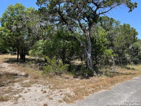 619 Cactus Flower Canyon Lake TX 78133