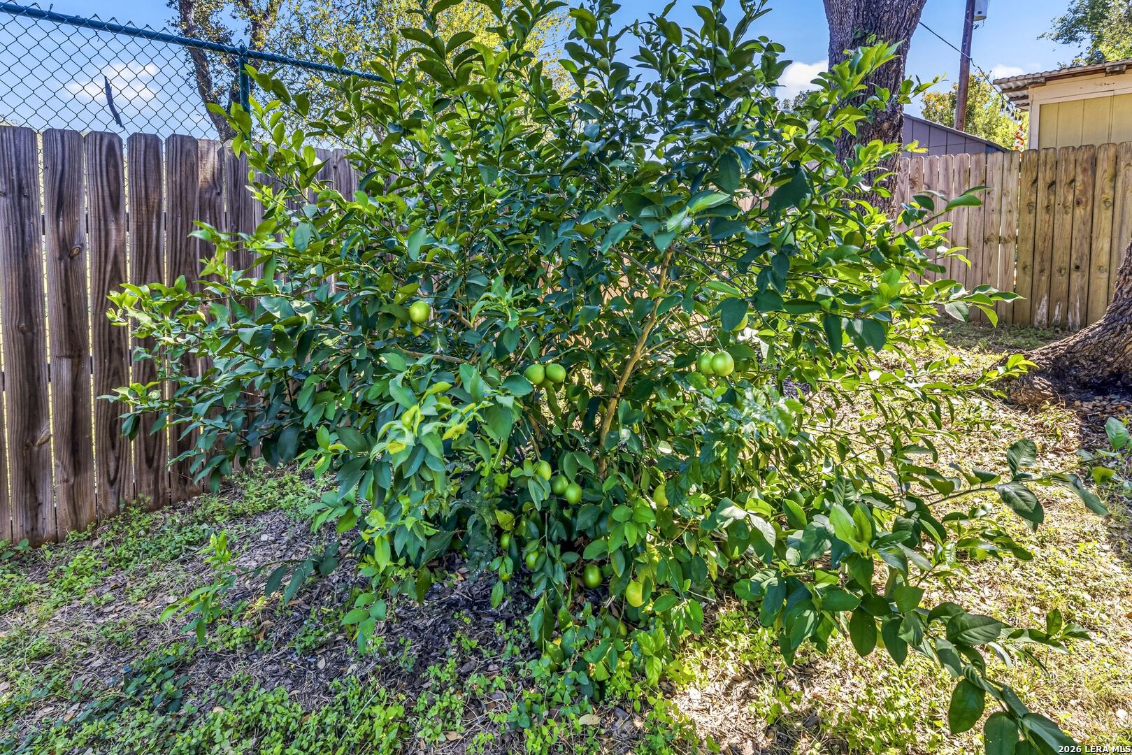2326 Fox Meadow Drive San Antonio TX 78251