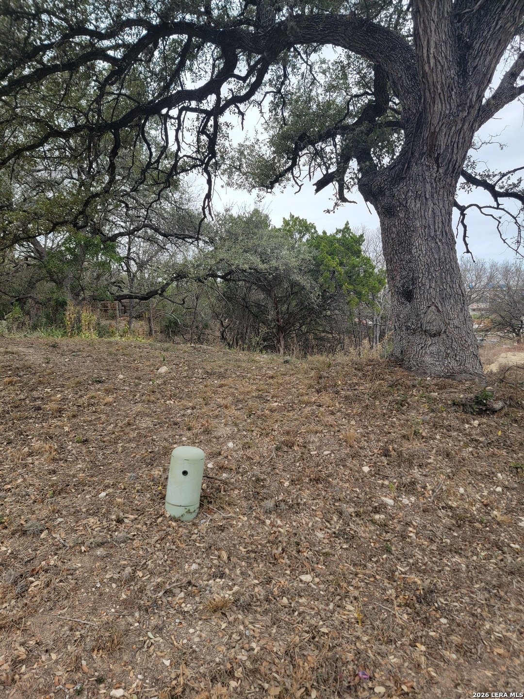14922 Medusa Selma TX 78154
