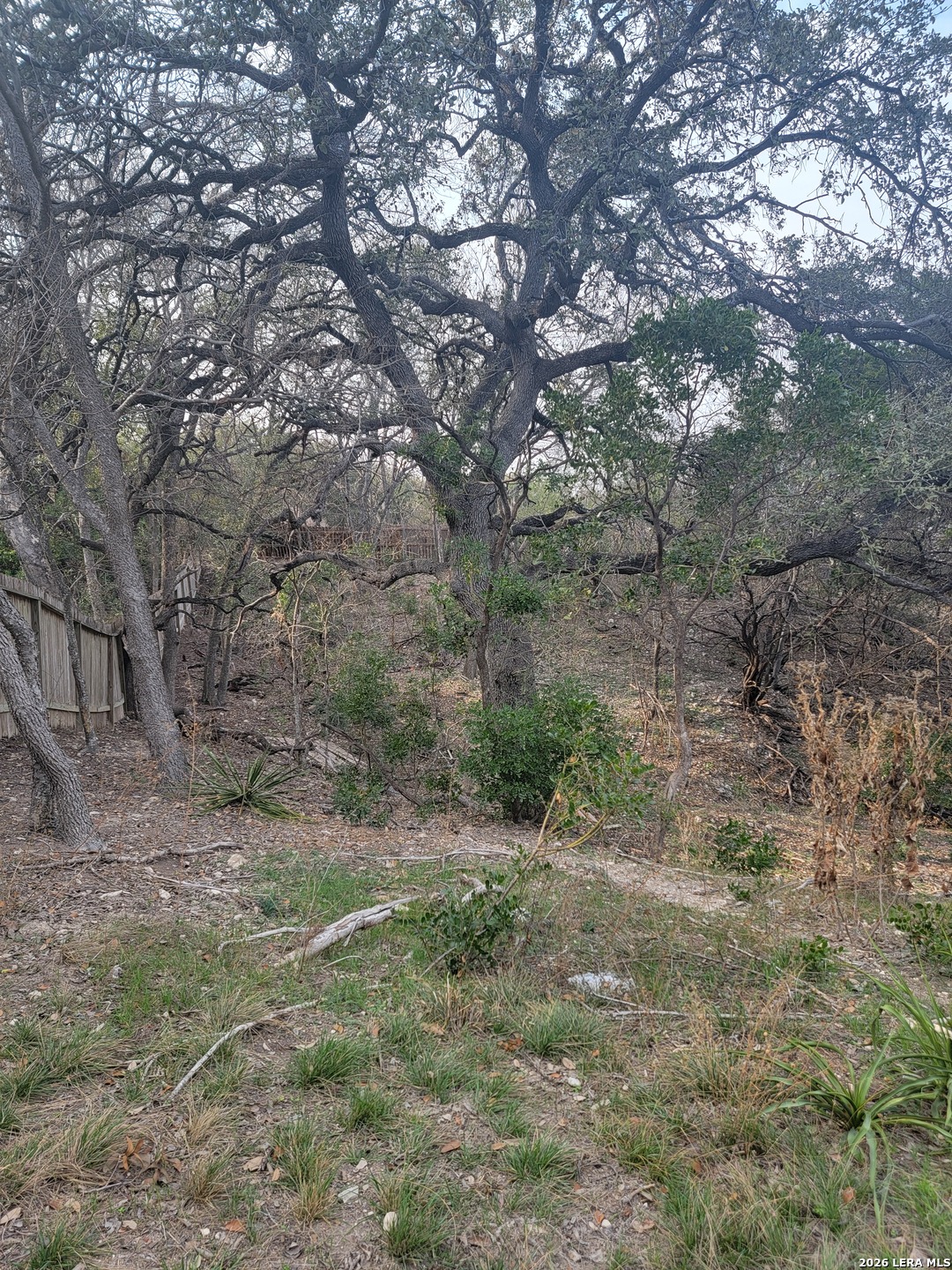 14922 Medusa Selma TX 78154