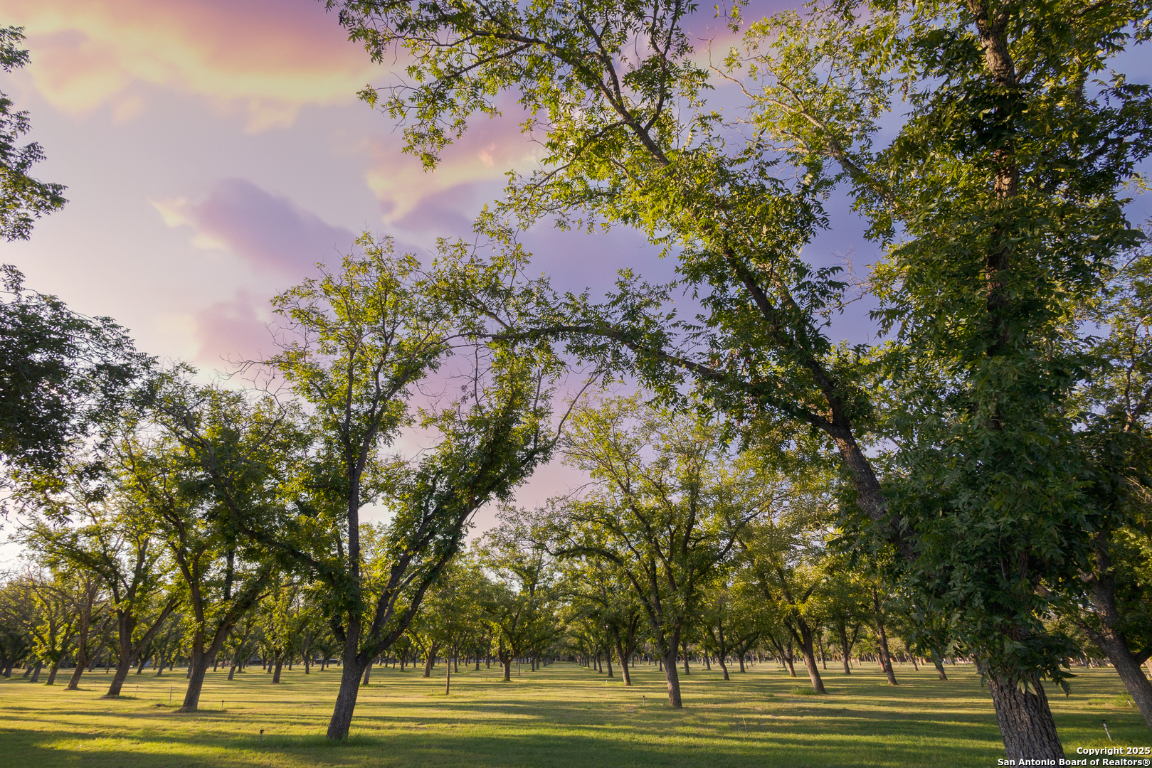 370 Johnny Seibert Lane Leakey TX 78873