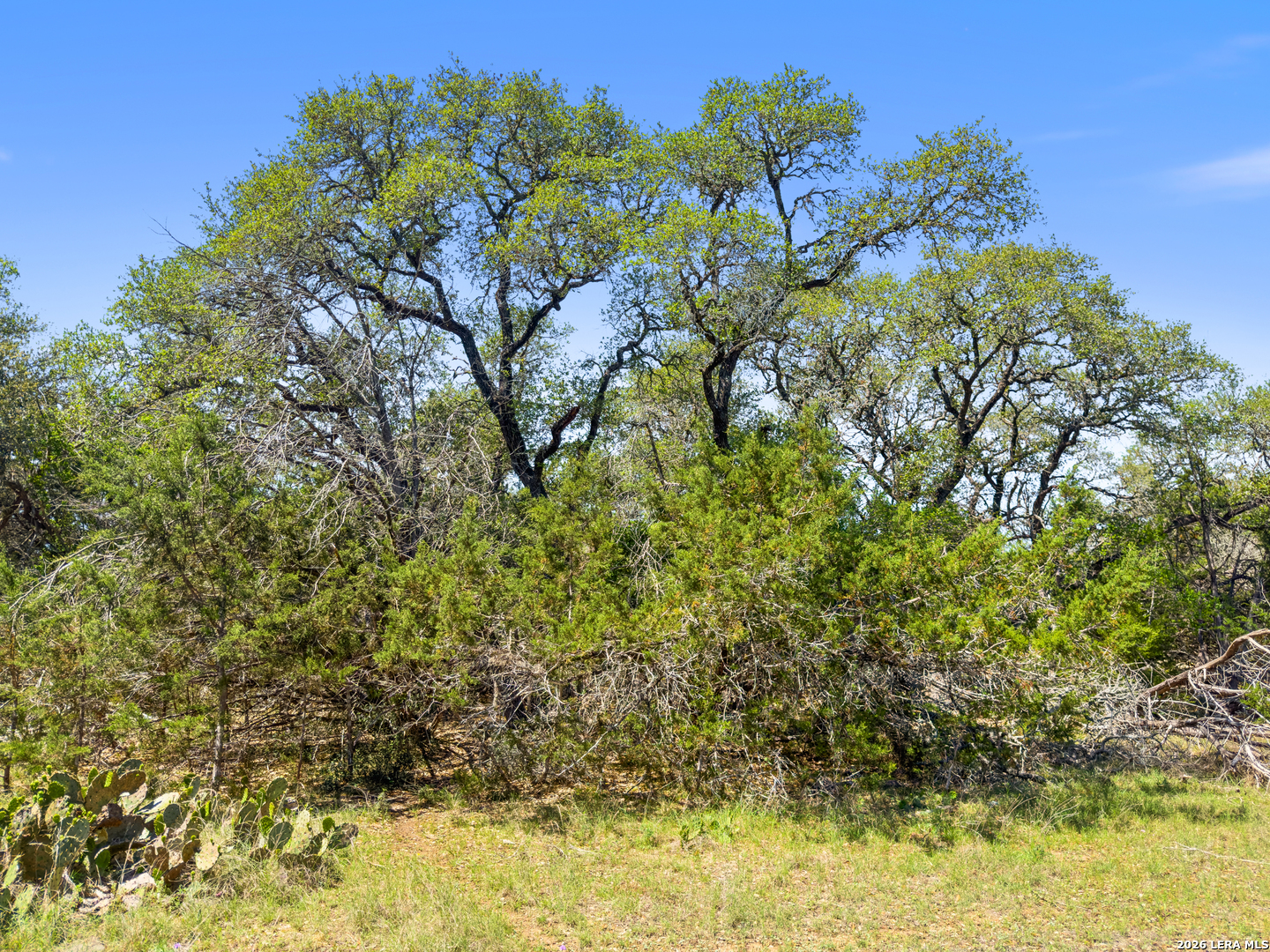 1530 Misty Lane Spring Branch TX 78070