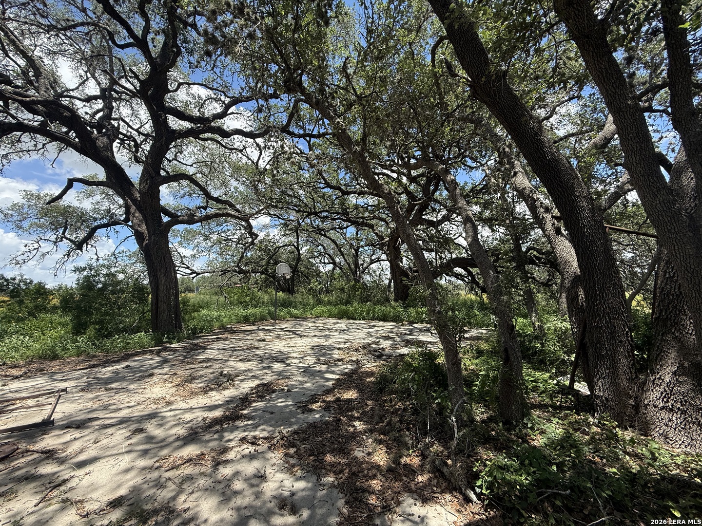 3061 Horse Ranch Road San Antonio TX 78264