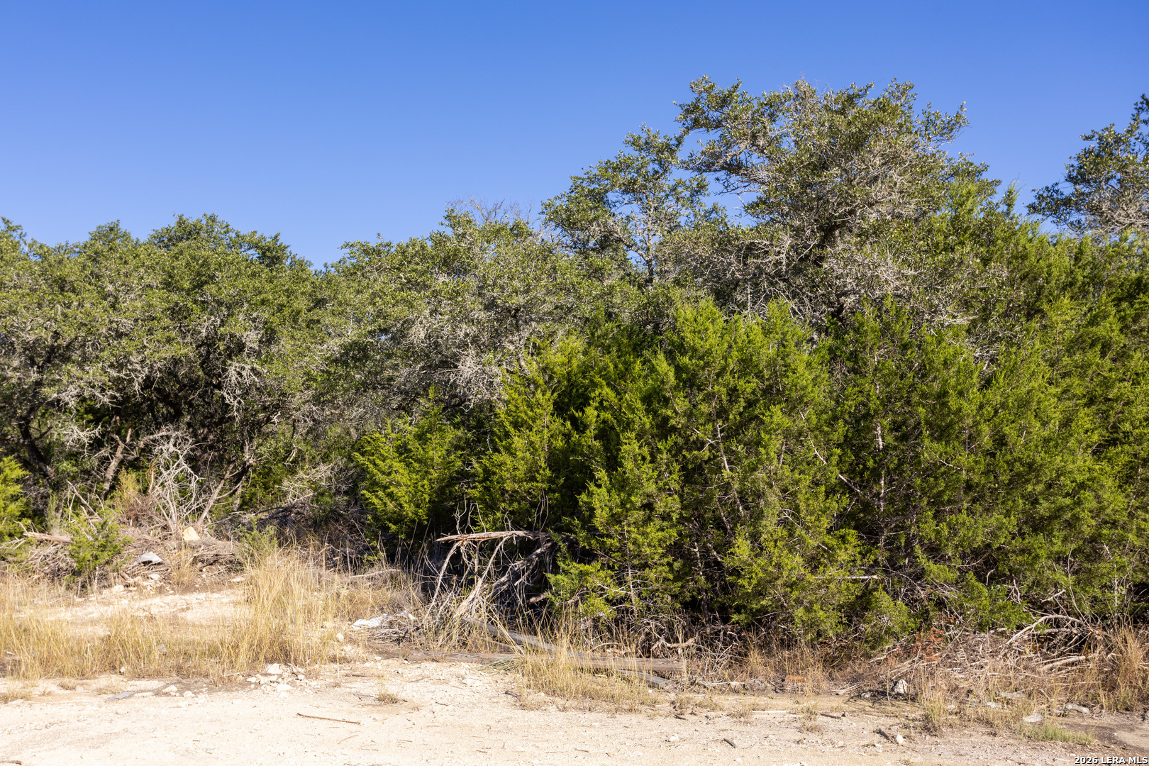 Block 1, Lot 24 Standing Tall Boerne TX 78006