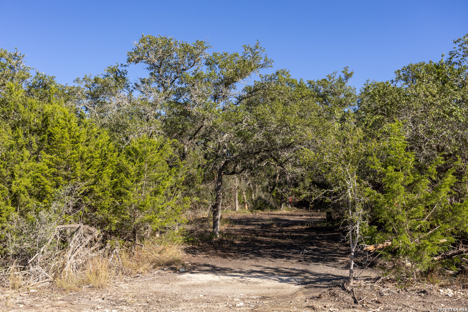 Block 1, Lot 24 Standing Tall Boerne TX 78006