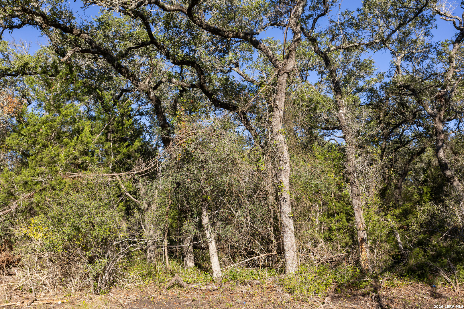 Block 1, Lot 24 Standing Tall Boerne TX 78006