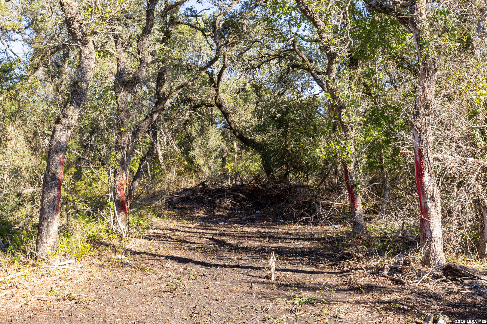 Block 1, Lot 24 Standing Tall Boerne TX 78006
