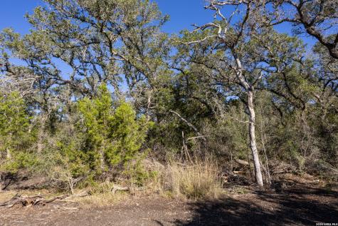 Block 1, Lot 24 Standing Tall Boerne TX 78006