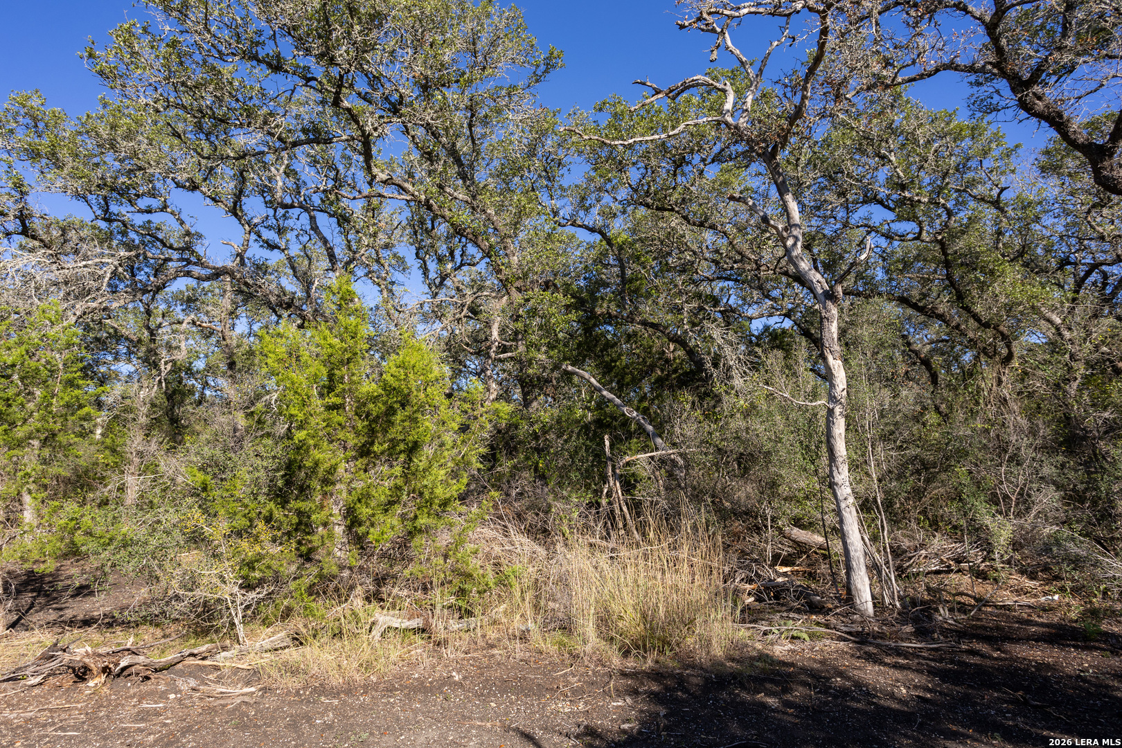 Block 1, Lot 24 Standing Tall Boerne TX 78006