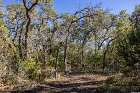 Block 1, Lot 24 Standing Tall Boerne TX 78006