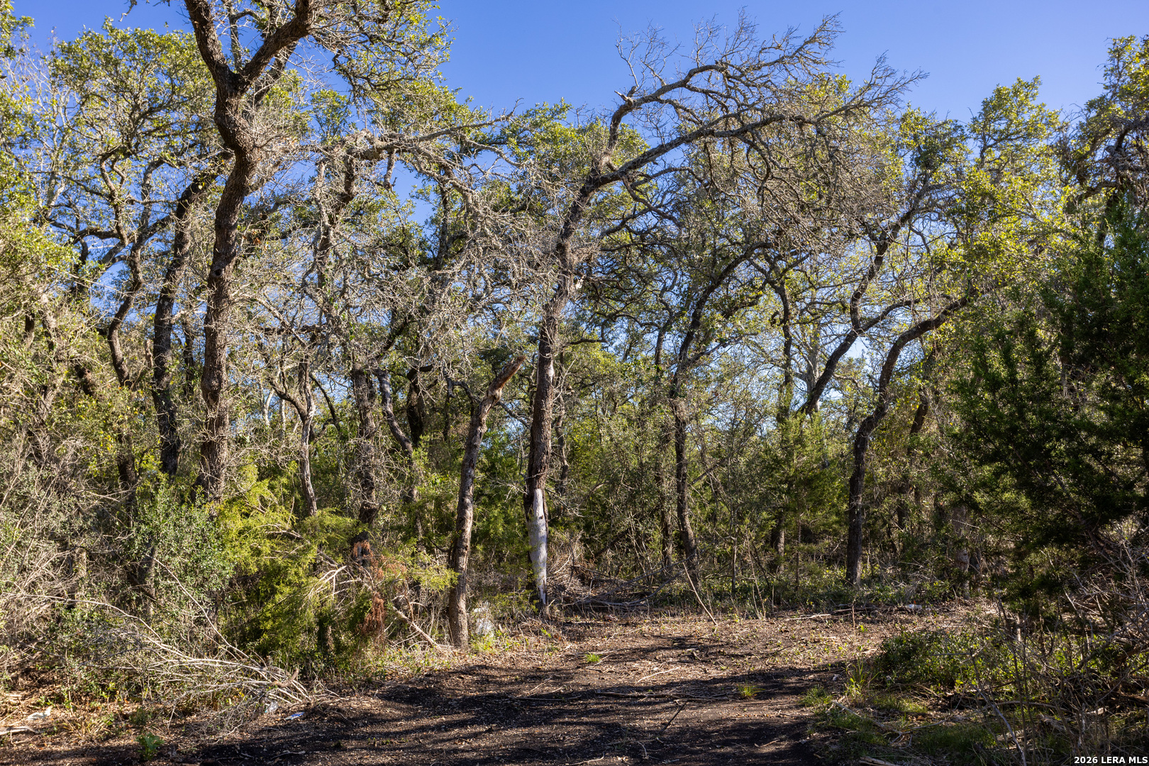 Block 1, Lot 24 Standing Tall Boerne TX 78006