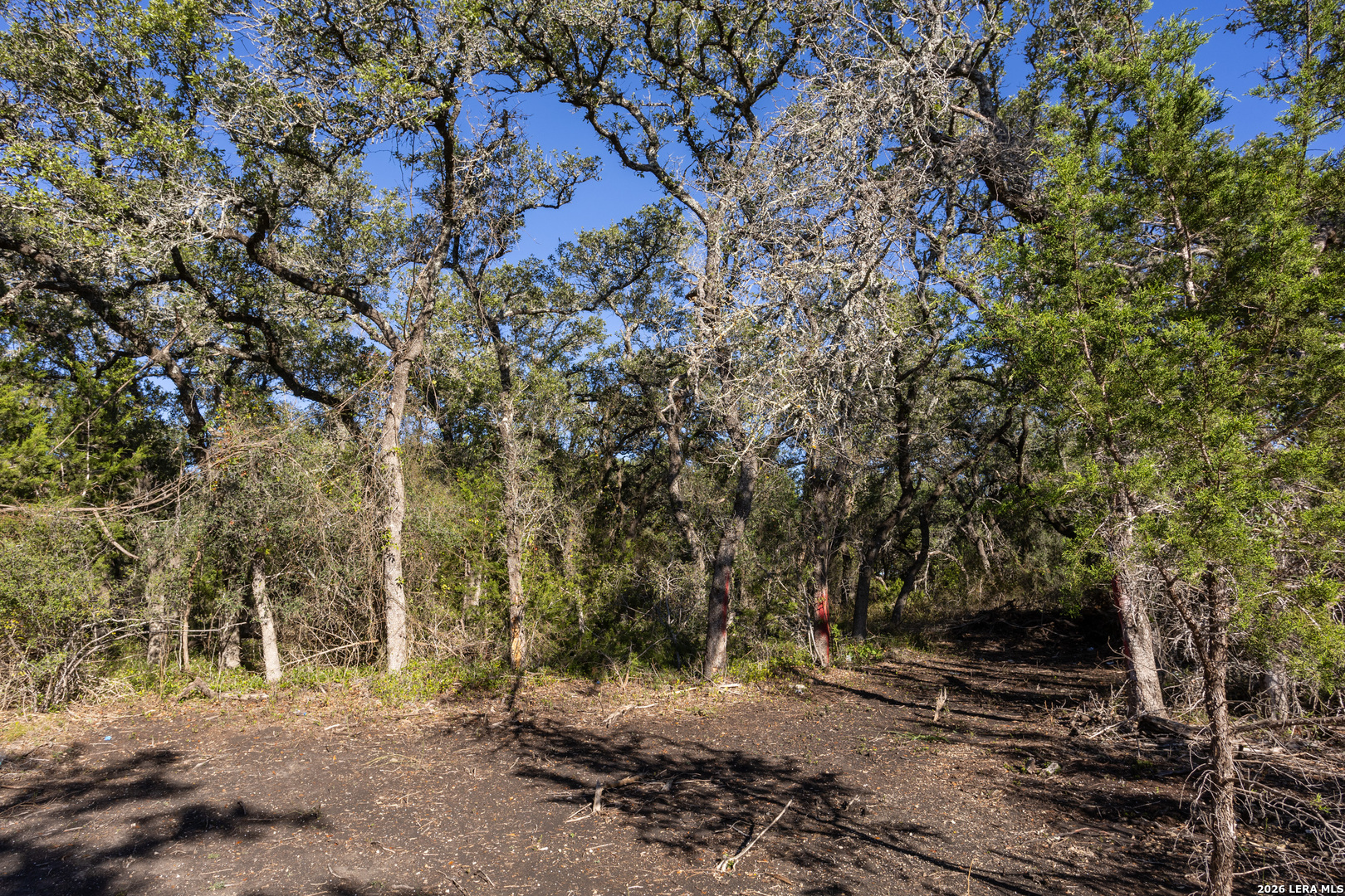 Block 1, Lot 24 Standing Tall Boerne TX 78006