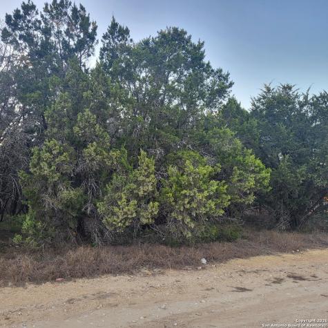 0 Tbd (Oak Ridge - Lot 22) Spring Branch TX 78070