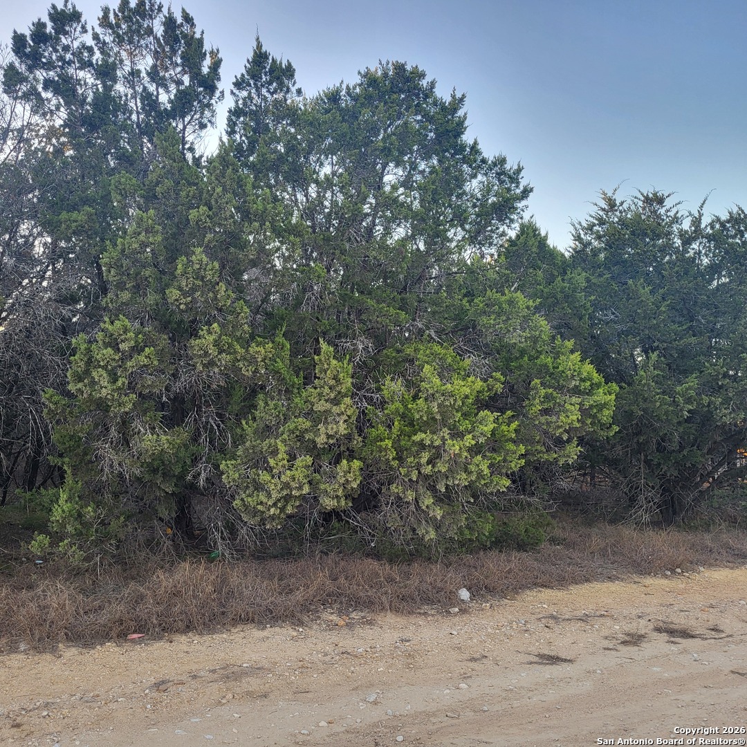 0 Tbd (Oak Ridge - Lot 22) Spring Branch TX 78070