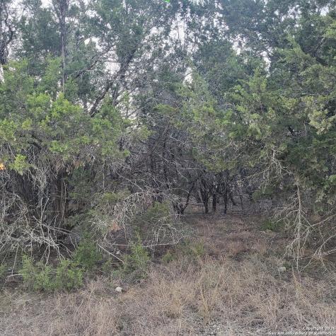 0 Tbd (Oak Ridge - Lot 22) Spring Branch TX 78070