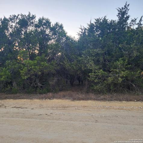 0 Tbd (Oak Ridge - Lot 22) Spring Branch TX 78070