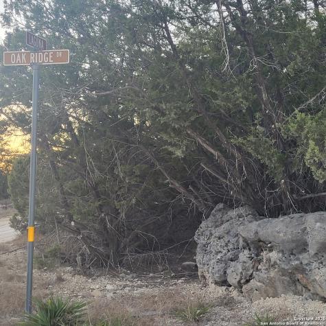 0 Tbd (Oak Ridge - Lot 22) Spring Branch TX 78070