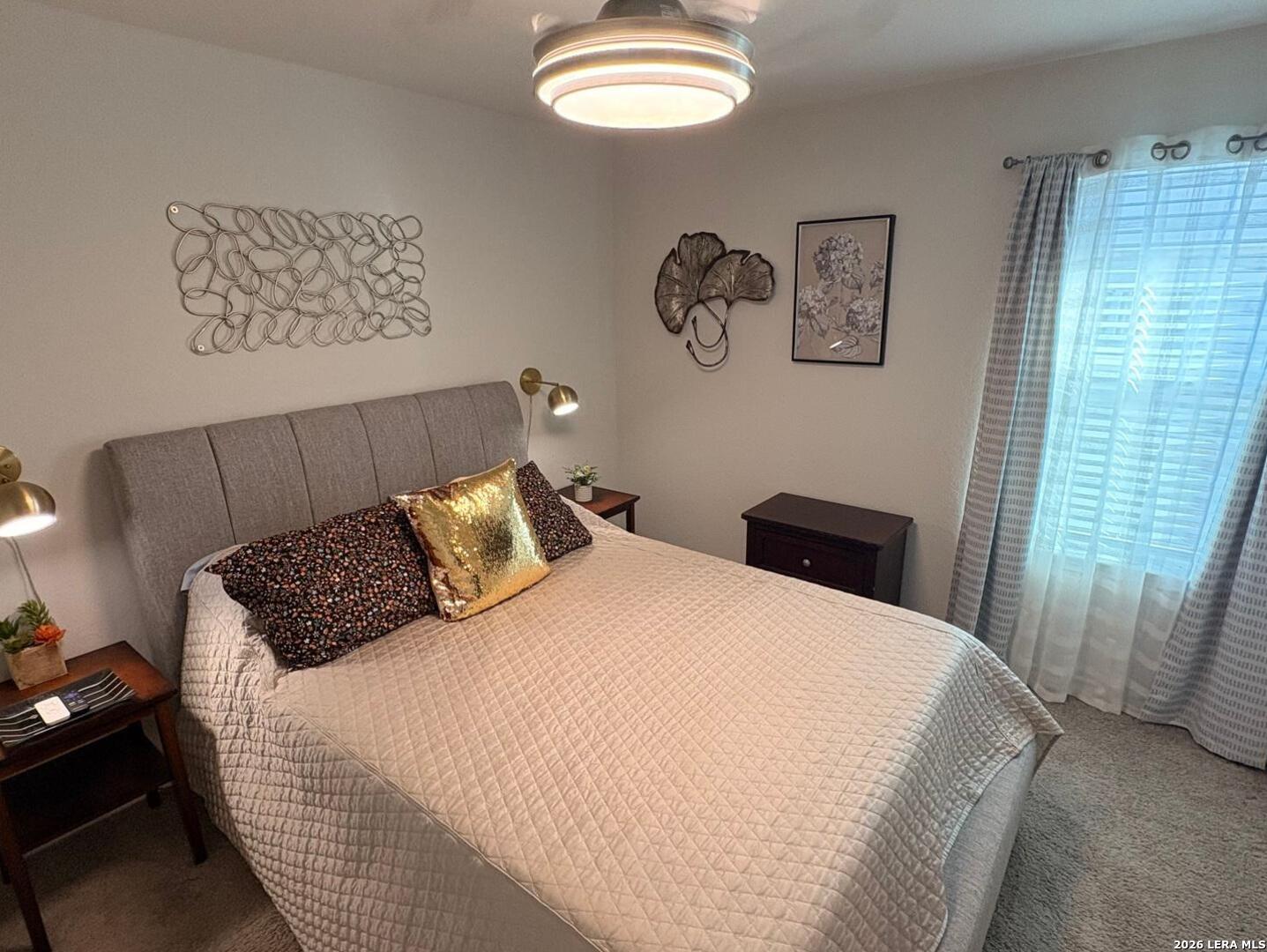 145 Scarlet Macaw San Antonio TX 78253