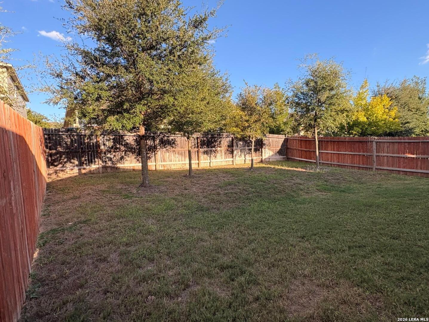 145 Scarlet Macaw San Antonio TX 78253