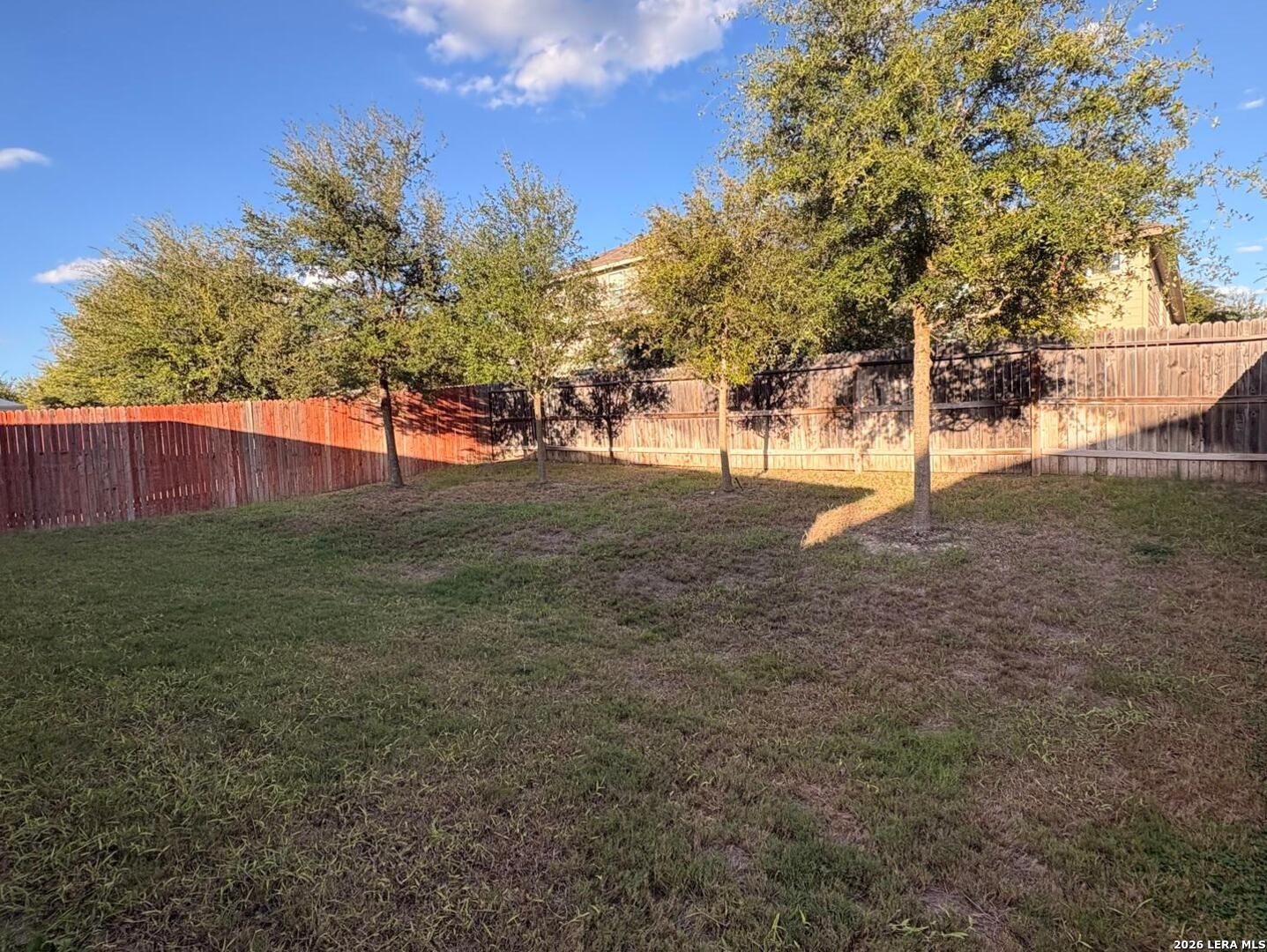 145 Scarlet Macaw San Antonio TX 78253