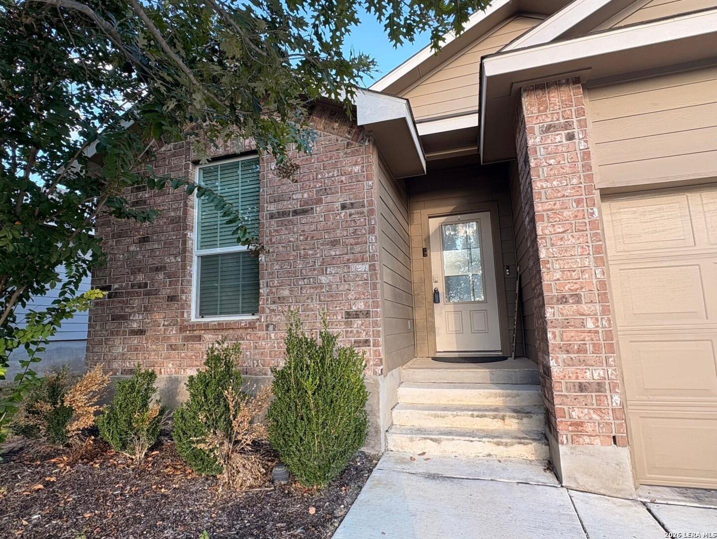 145 Scarlet Macaw San Antonio TX 78253