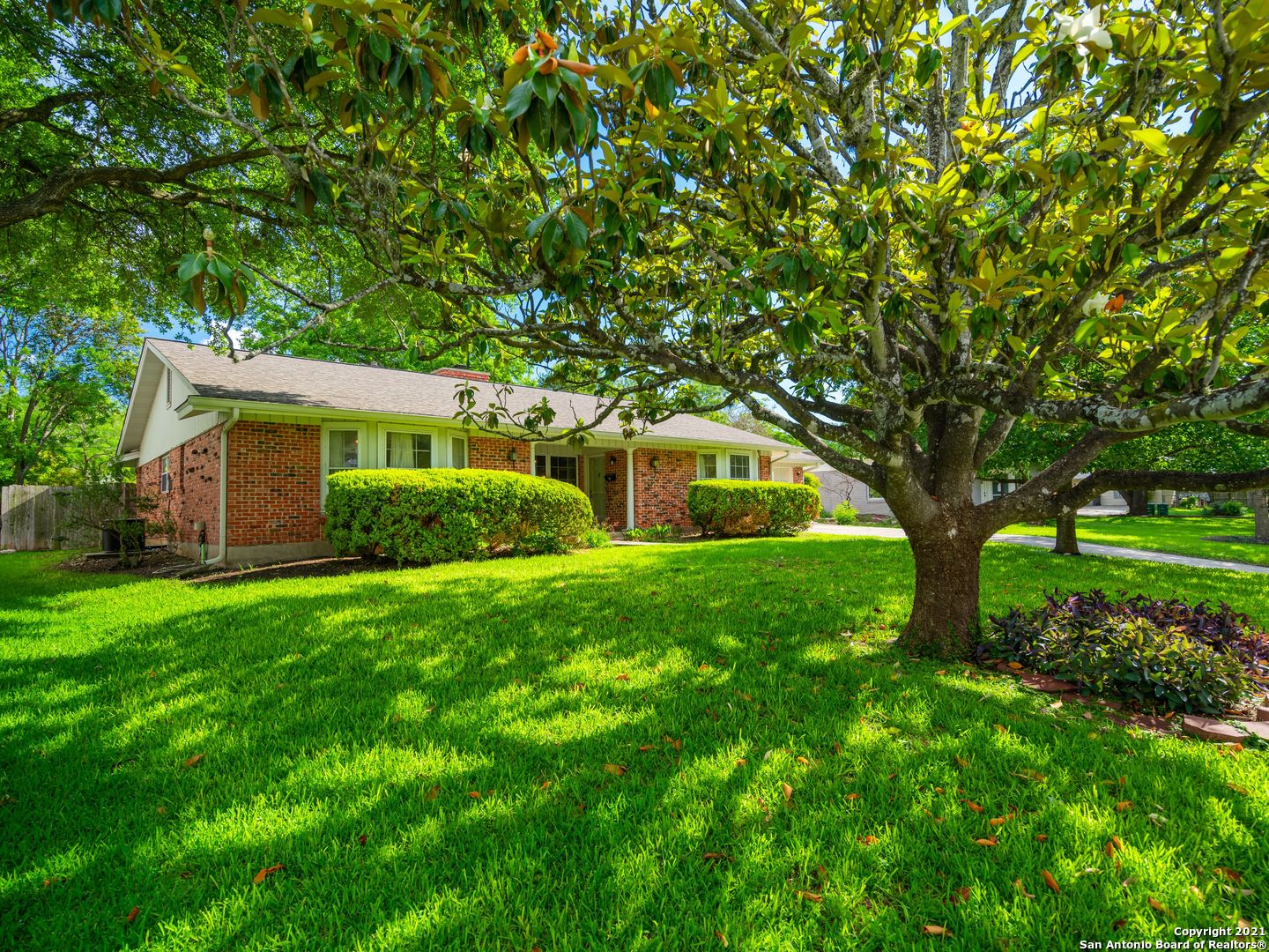 2906 Larkwood Drive San Antonio TX 78209