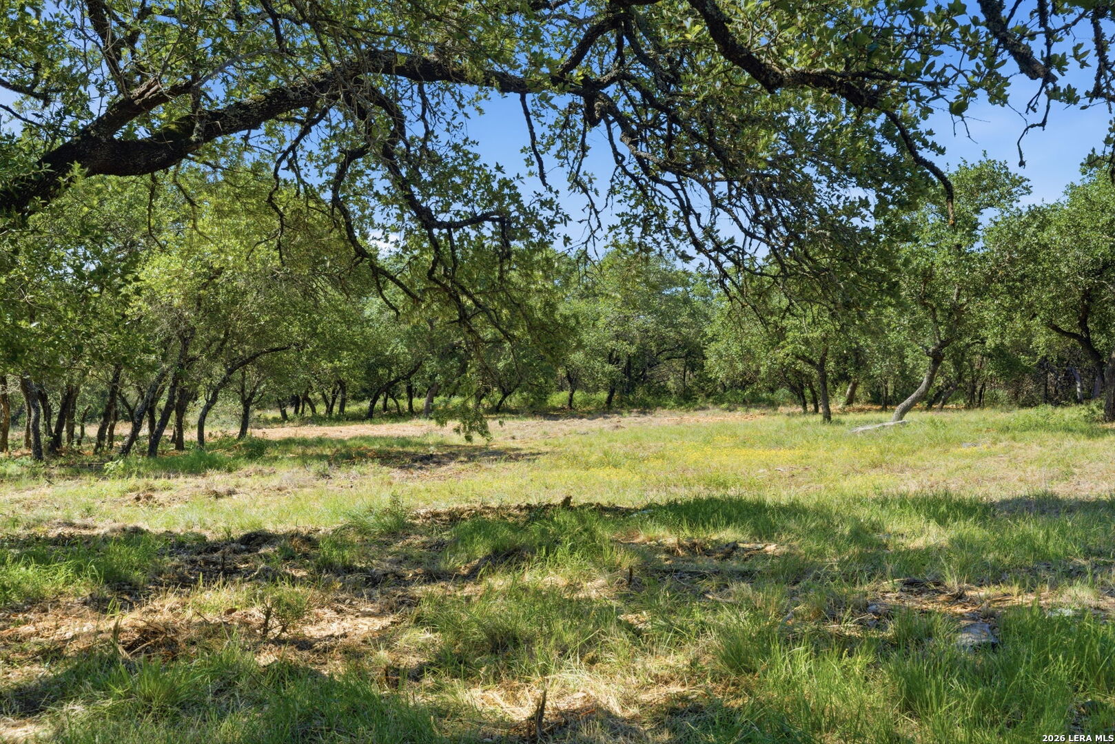 189 Survista Lane New Braunfels TX 78132