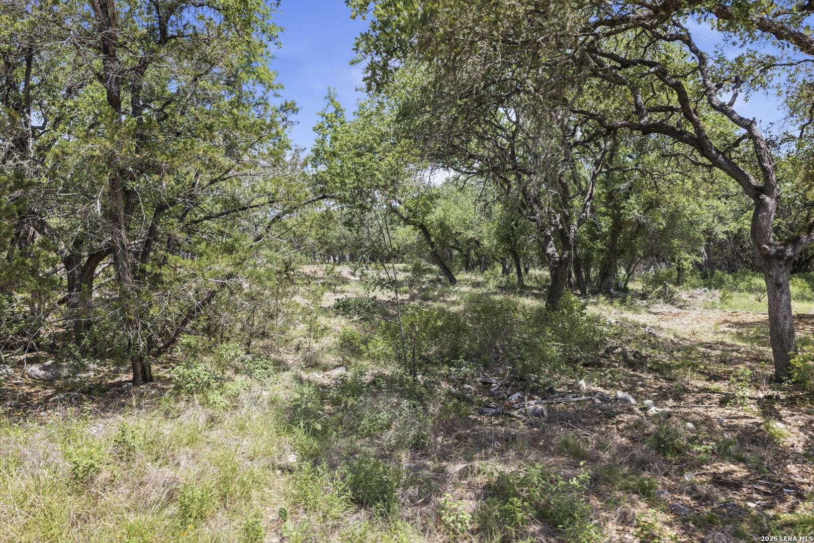189 Survista Lane New Braunfels TX 78132