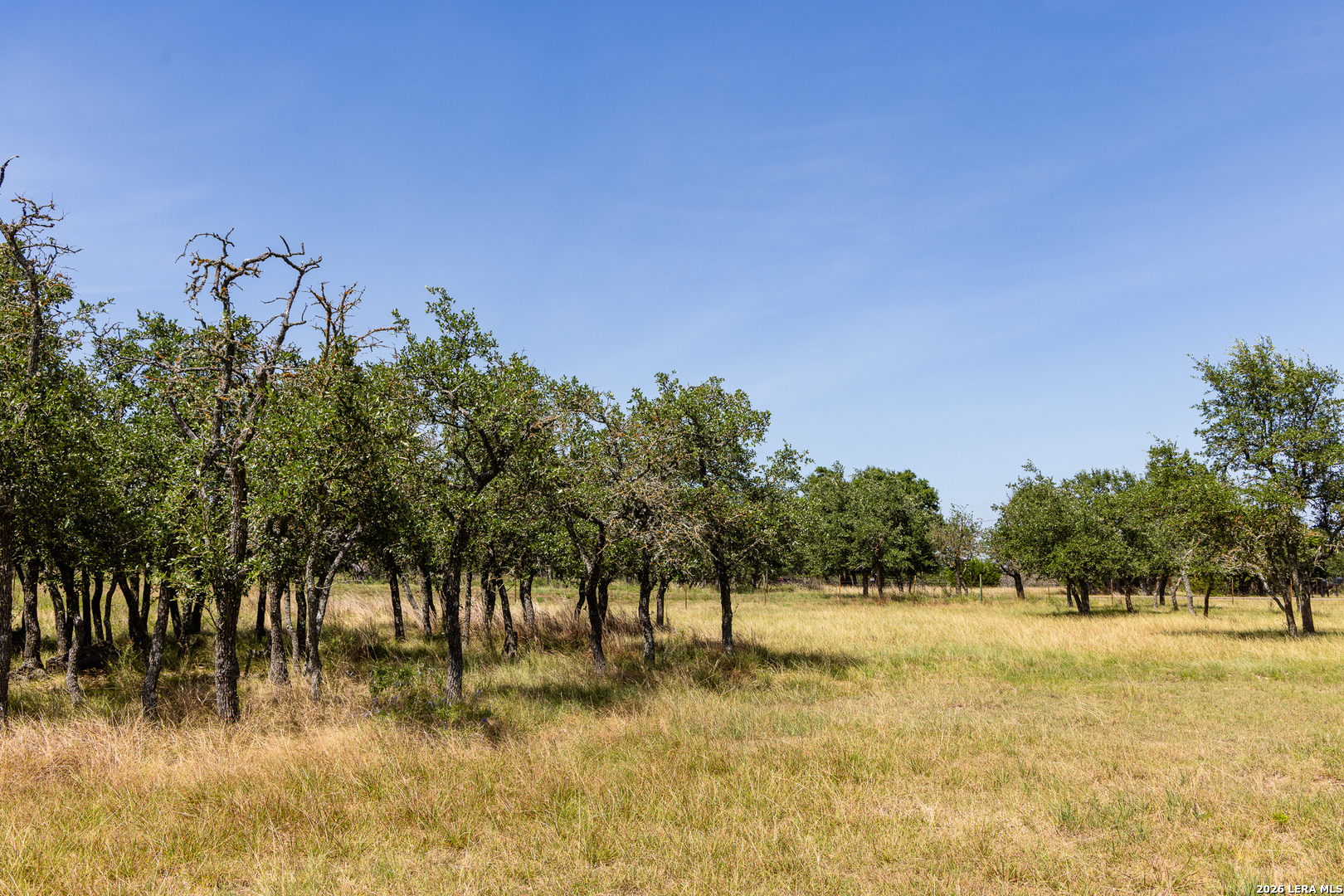 5087 Friedrich Road Fredericksburg TX 78624