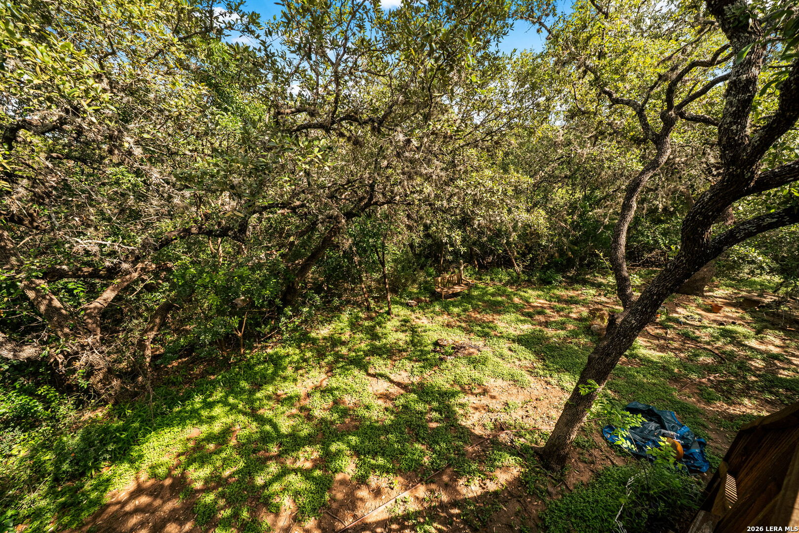 10006 Terrace Park San Antonio TX 78250