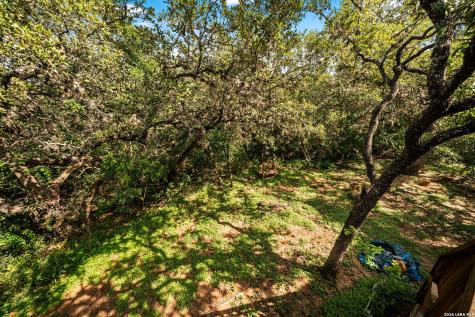 10006 Terrace Park San Antonio TX 78250