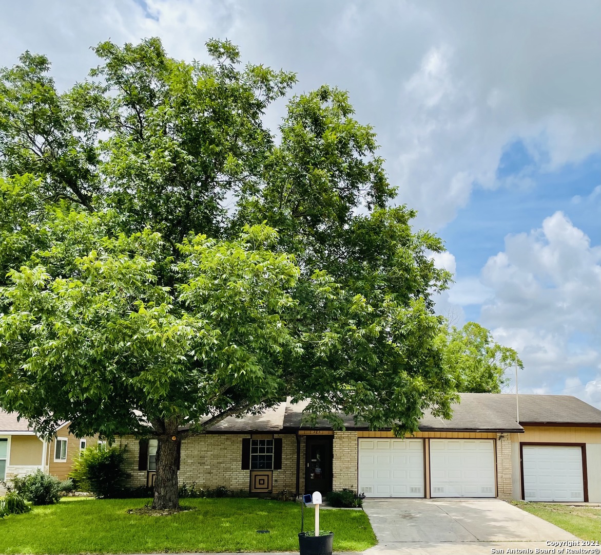 273 Rhine Road New Braunfels TX 78130