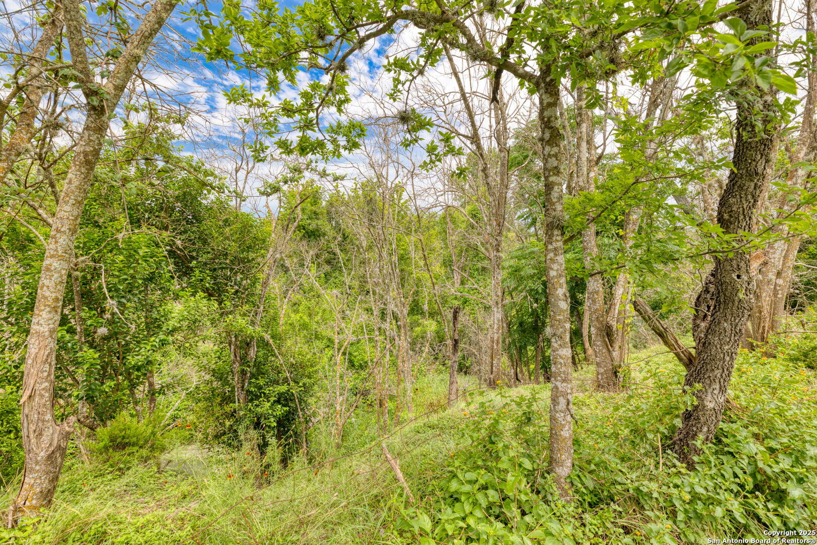 316 W San Antonio Avenue Boerne TX 78006