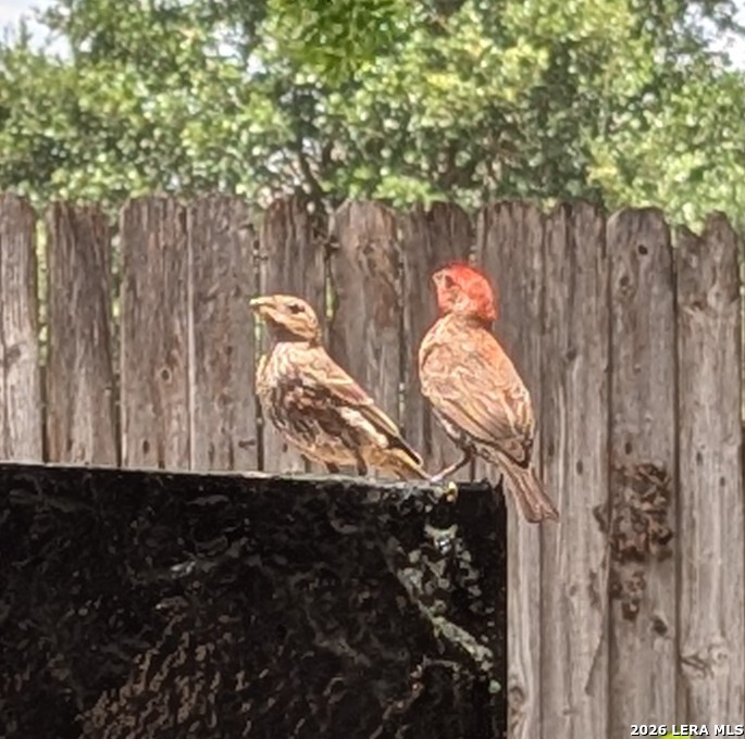 123 Latigo Lane Boerne TX 78006
