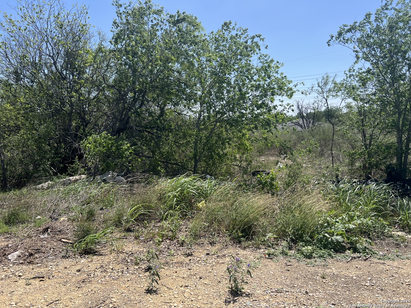 710 Hampton San Antonio TX 78220