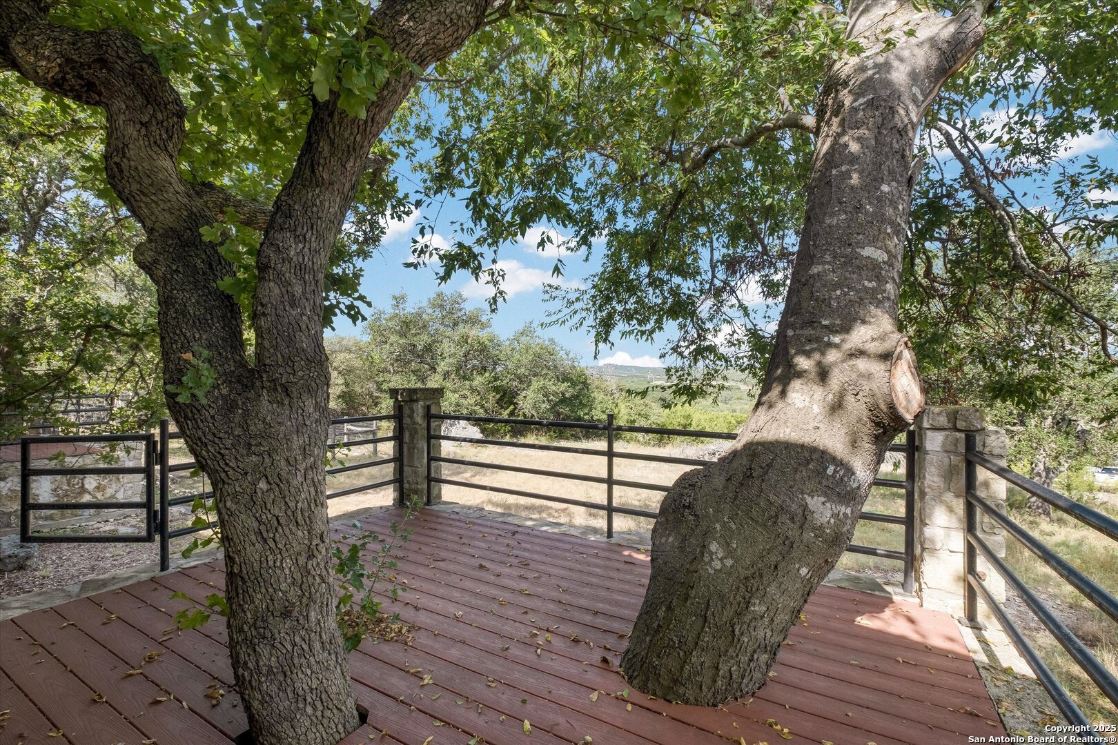 550 Caliche Bulverde TX 78163