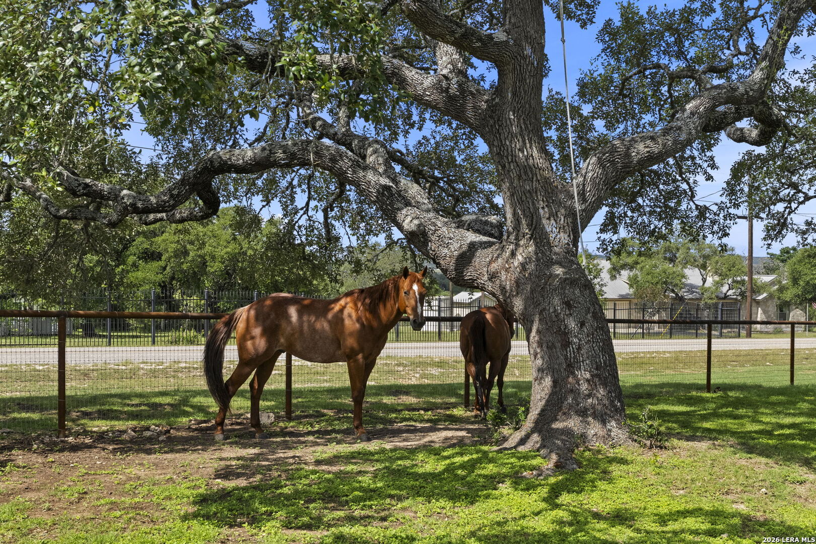 112 Juniper Boerne TX 78006