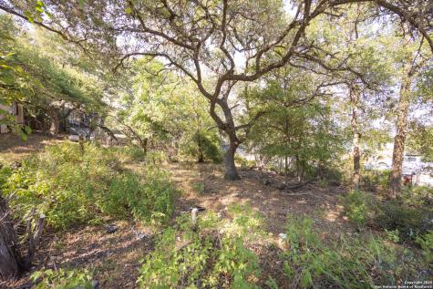 338 Grey Fawn Canyon Lake TX 78133