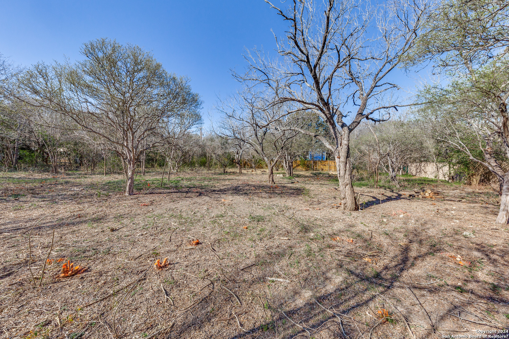 234 Rockhill San Antonio TX 78209