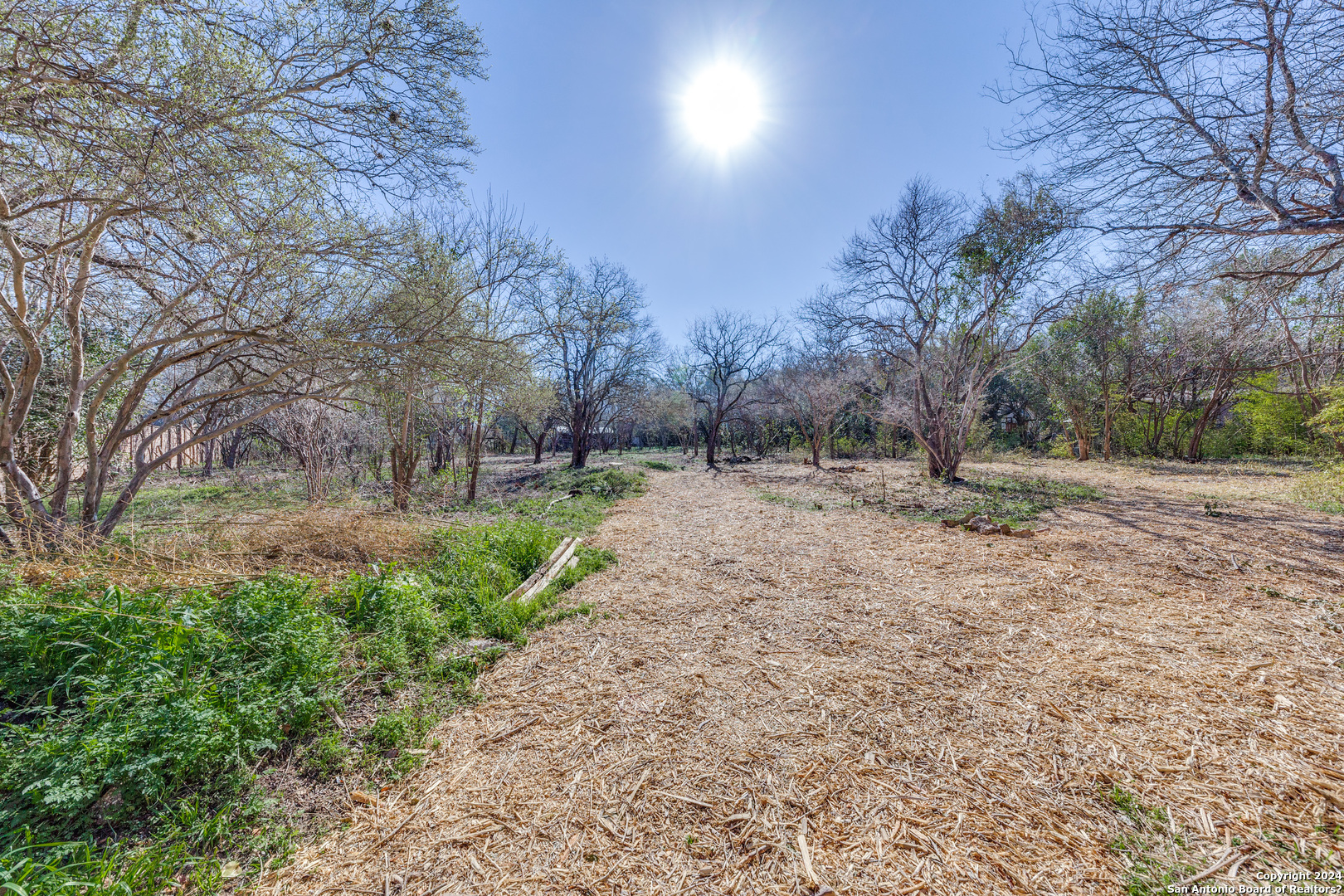 234 Rockhill San Antonio TX 78209