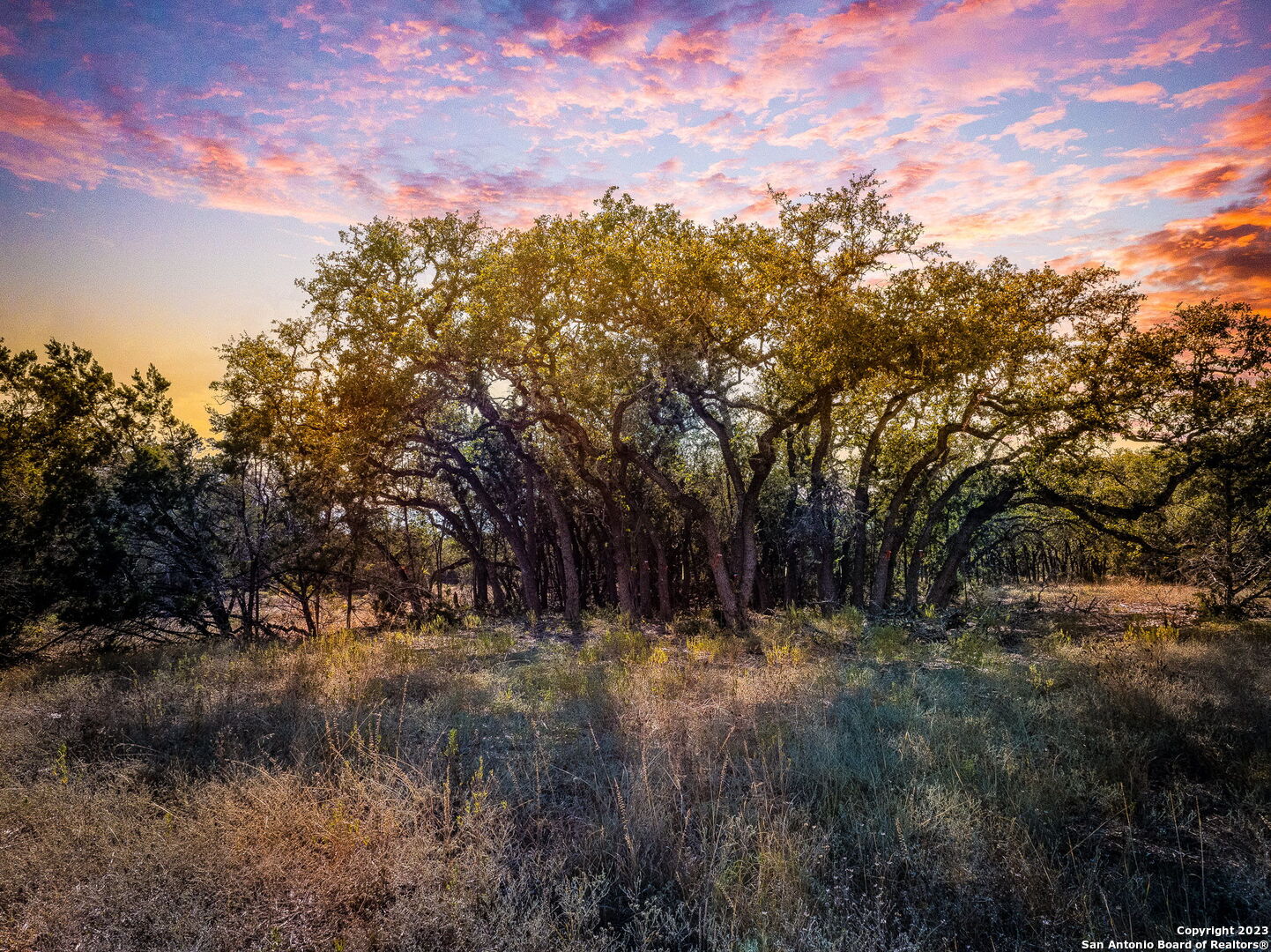 34760 Carries Creek Drive Bulverde TX 78163