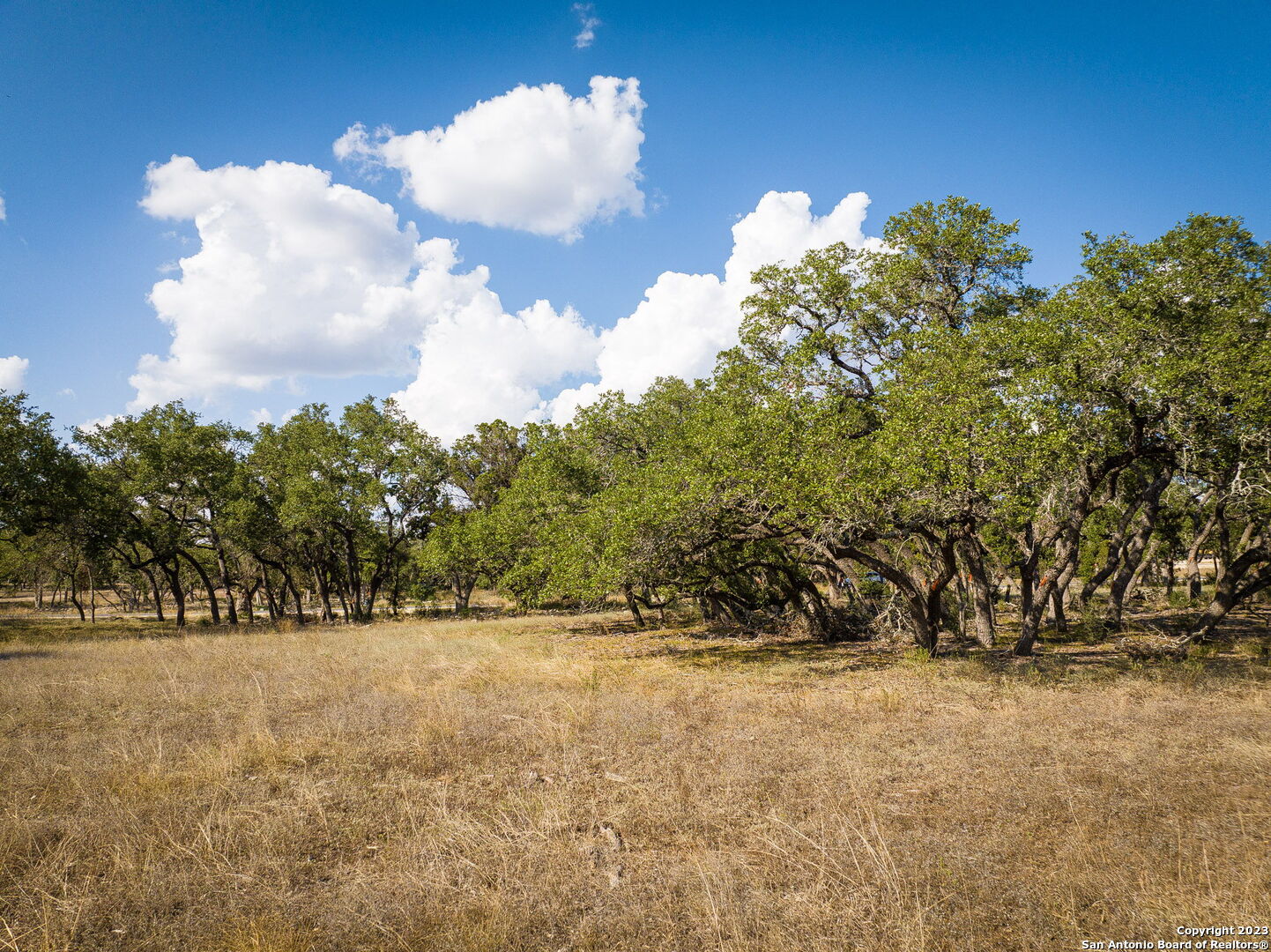 34760 Carries Creek Drive Bulverde TX 78163