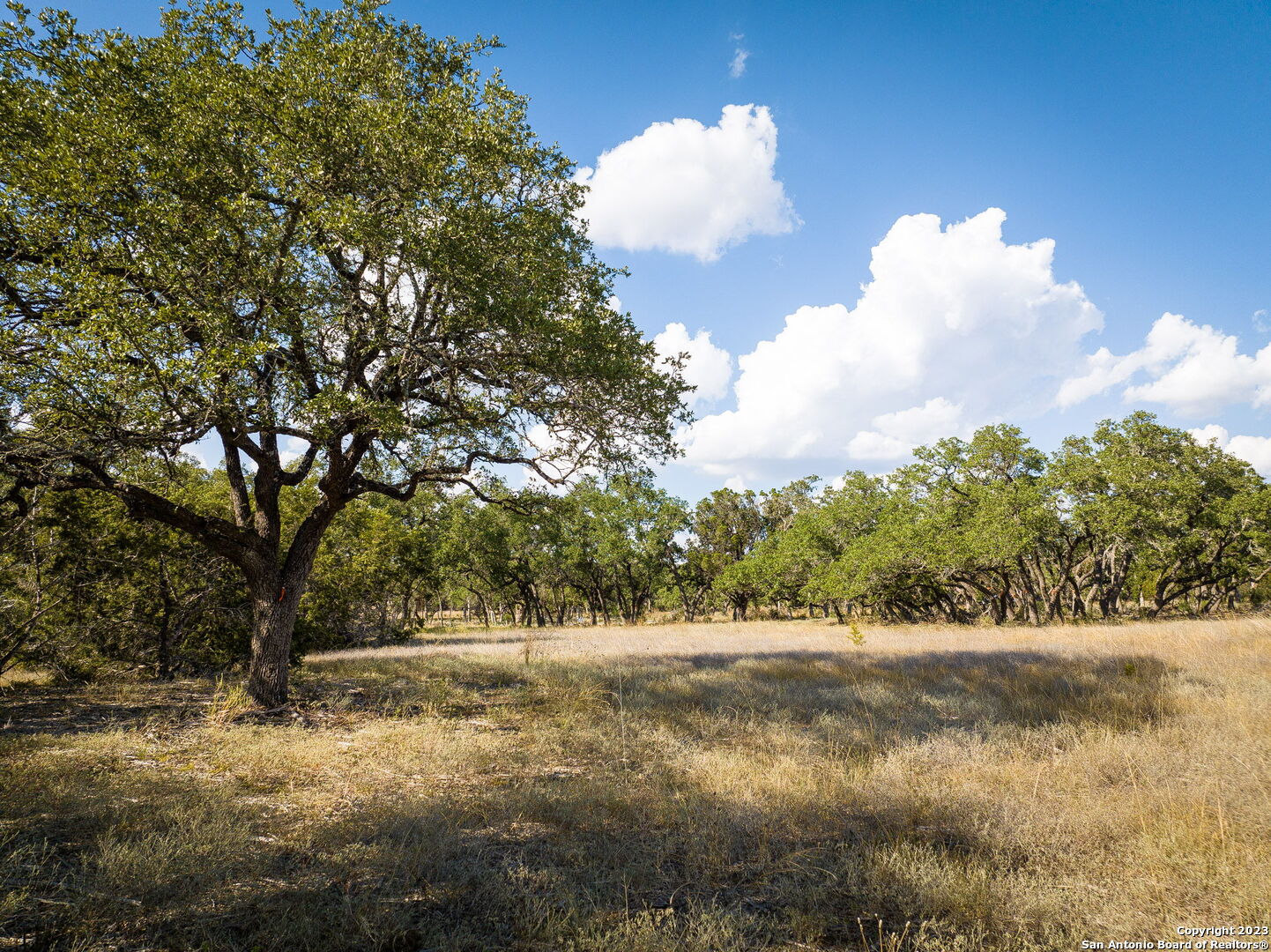 34760 Carries Creek Drive Bulverde TX 78163