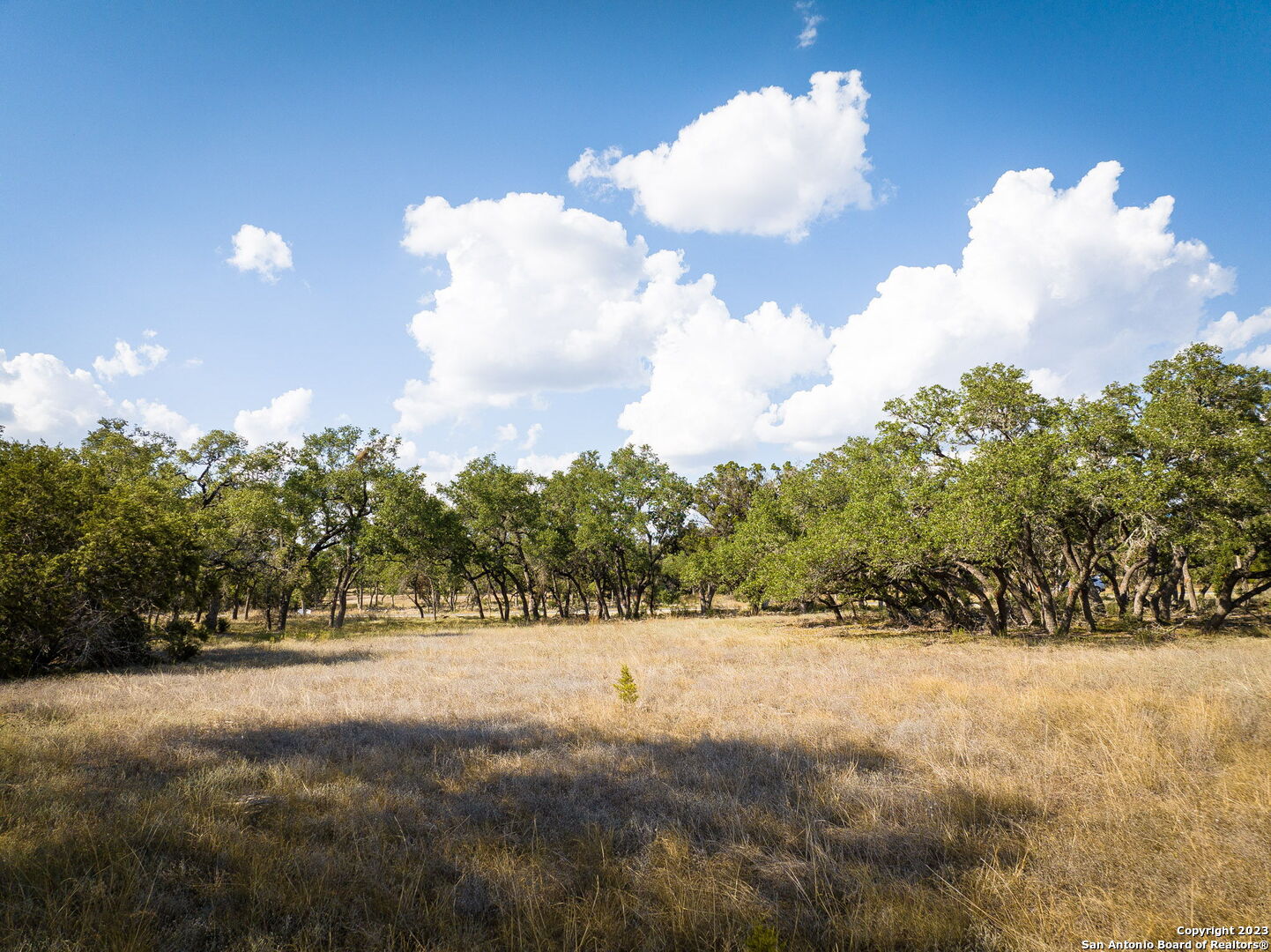34760 Carries Creek Drive Bulverde TX 78163