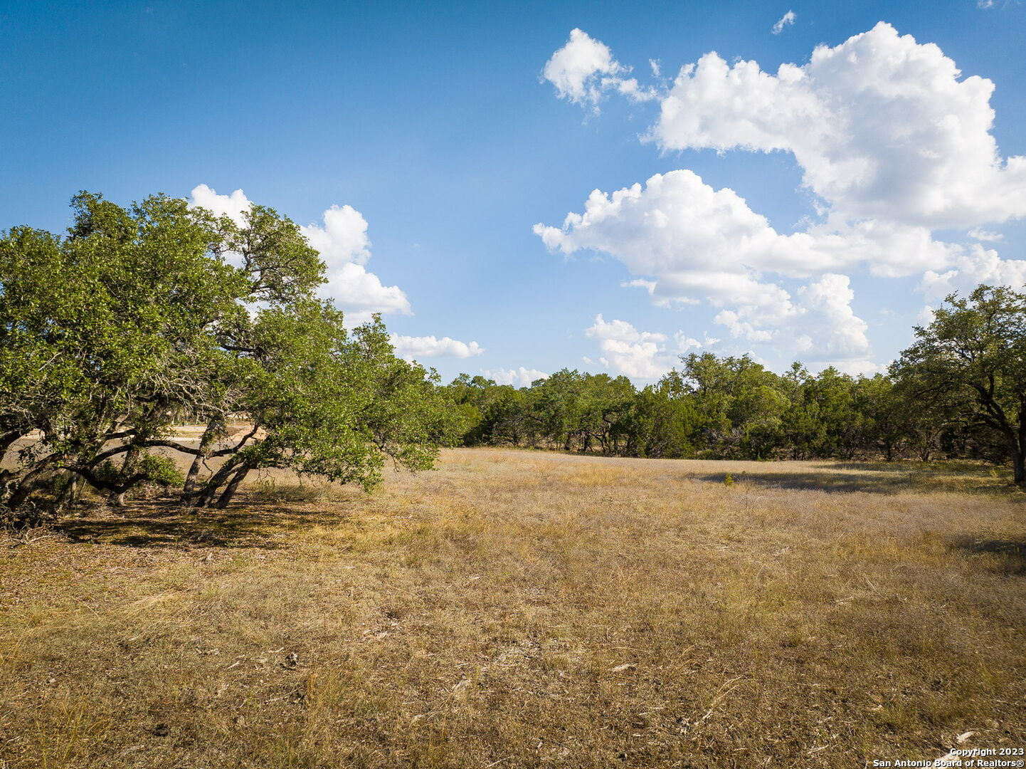 34760 Carries Creek Drive Bulverde TX 78163
